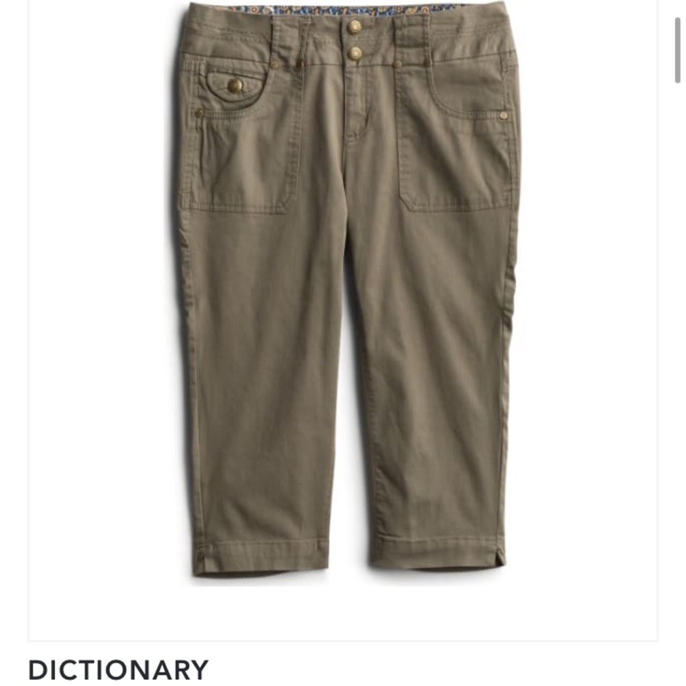 Dictionary Crop Pants from StitchFix